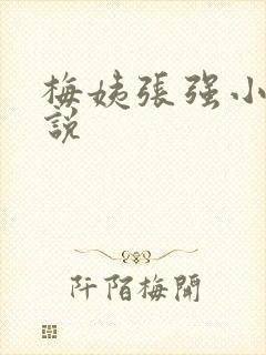 梅姨张强小城小说