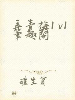 弄青梅1 v1笔趣阁