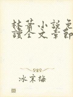 林萧小说免费阅读全文章节封面