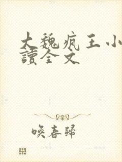大魏疯王小说阅读全文