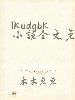 lkudgbk小说全文免费阅读笔趣阁无弹窗封面