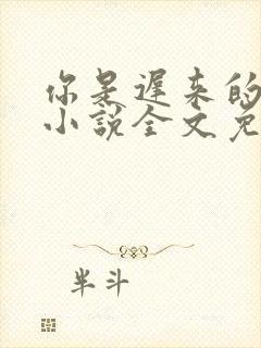 你是迟来的喜欢小说全文免费阅读