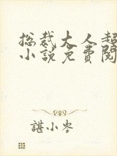 总裁大人超给力小说免费阅读全文