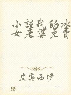 小说我的冰山美女老婆免费阅读