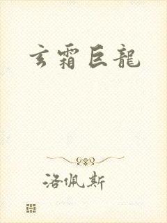 玄霜巨龙封面