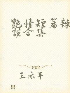 艳情短篇辣文小说合集