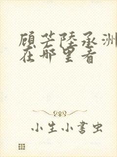 顾芒陆承洲小说在哪里看
