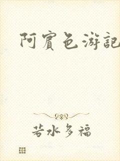 阿宾色游记封面