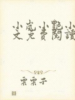 小岚小艳小说全文免费阅读最新章节封面