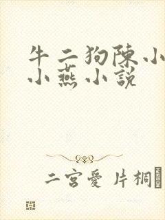 牛二狗陈小风陈小燕小说