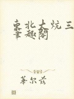 东北大炕三部曲笔趣阁