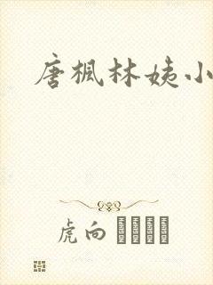 唐枫林姨小说