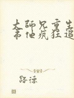 大师兄重生后师弟他疯狂追妻无删减版小说封面