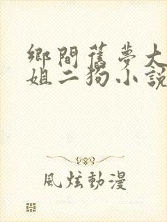 乡间旧梦大姐二姐二狗小说