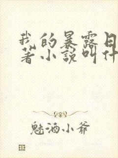 我的暴露日记原著小说叫什么
