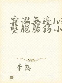 宠溺无边1v3双胞胎的小说