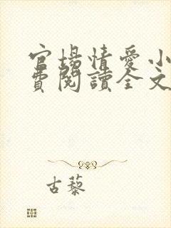 官场情爱小说免费阅读全文封面