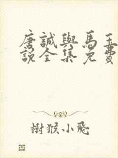 唐诚与马玉婷小说全集免费阅读