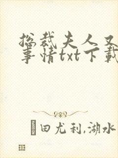 总裁夫人又在搞事情txt下载