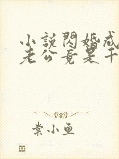 小说闪婚成宠,老公竟是千亿大佬免费下载