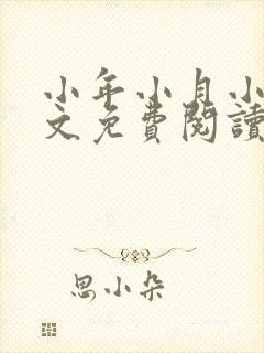小年小月小说全文免费阅读无弹窗