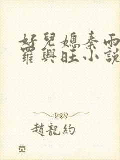 好儿媳秦雨罗明罗兴旺小说