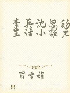 李兵沈思的快乐生活小说免费阅读