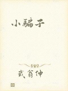 小骗子