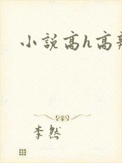 小说高h高辣