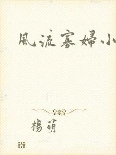 风流寡妇小说