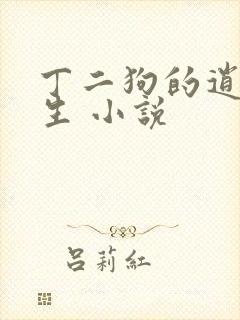 丁二狗的逍遥人生 小说