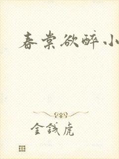 春棠欲醉小说