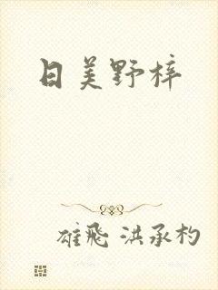 日美野梓封面