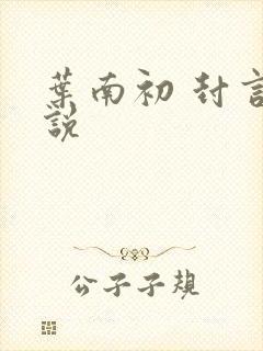 叶南初 封言小说