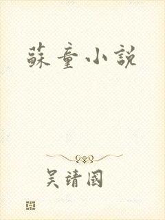 苏童小说