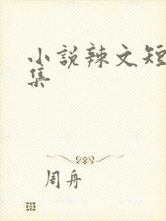 小说辣文短篇合集