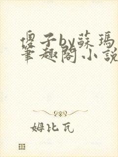 傻子by苏玛丽笔趣阁小说封面