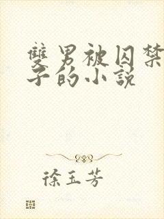 双男被囚禁还生子的小说