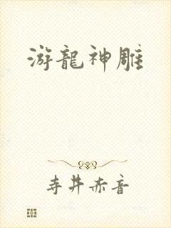 游龙神雕封面