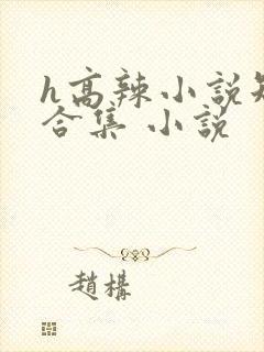 h高辣小说短文合集 小说