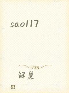 sao117封面
