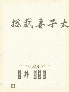 总裁妻子太诱人