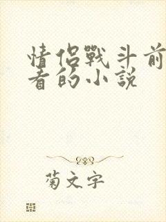 情侣战斗前适合看的小说封面