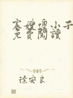 寡嫂傻小子小说免费阅读封面