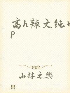 高h辣文纯肉np