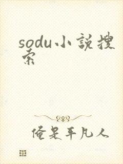 sodu小说搜索