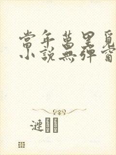 当年万里觅封侯小说无弹窗