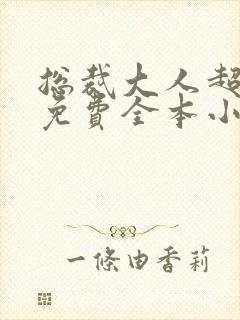 总裁大人超给力免费全本小说