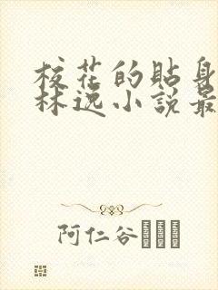 校花的贴身高手林逸小说最新