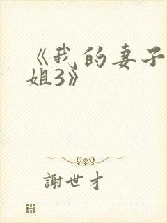 《我的妻子的姐姐3》